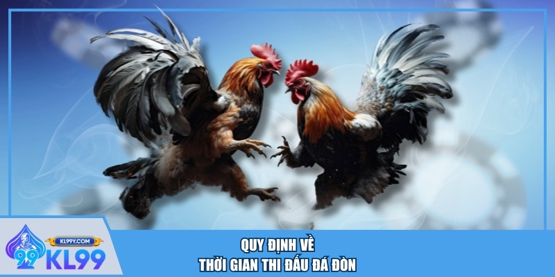 Quy định về thời gian thi đấu đá đòn
